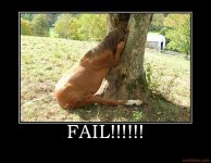 horse-10.jpg