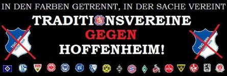 anti-hoffenheim_1.jpg