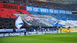 schalke_nuernberg_choreo_692.jpg