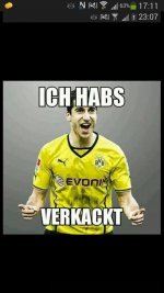 mücke.jpg