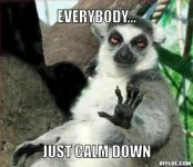 lemur-meme-generator-everybody-just-calm-down-1c5a00.jpg lemur-meme-generator-everybody-just-calm-down-1c5a00.jpg