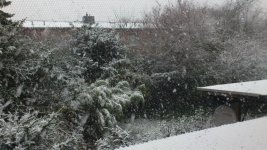 DSC_1010.jpg