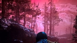 WP_20180830_10_24_34_Pro.jpg WP_20180830_10_24_34_Pro.jpg