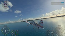 Microsoft Flight Simulator (2).jpg
