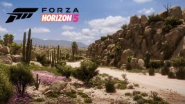 Forza-Horizon-5-desert-1280x720.jpg